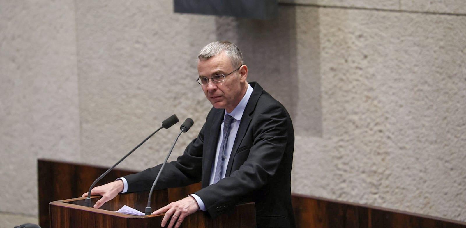 שר המשפטים יריב לוין / צילום: דני שם-טוב, דוברות הכנסת