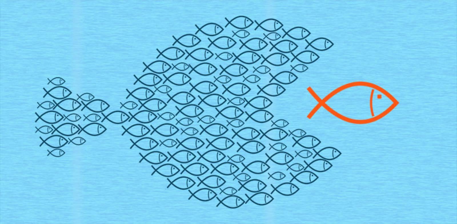  צילום: מניות הקטנות בדרך לשלוט בוול סטריט? / אילוסטרציה: גלובס