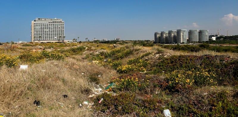 מחירי הקרקעות נפלו ב-2023 אך עלו שוב במהלך המלחמה / צילום: שלומי יוסף