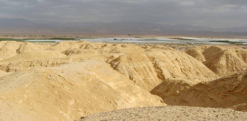 הערבה / צילום: יח''צ