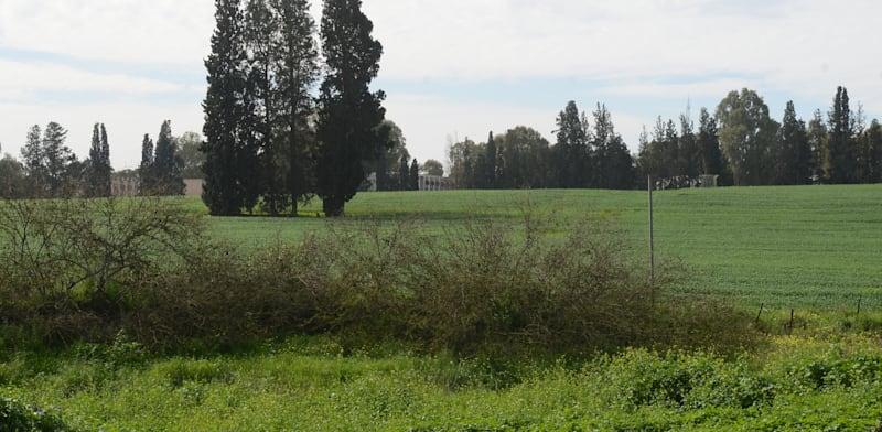 במהלך הזמן שחלף מביצוע העסקה לביצוע השומה, מחירי הקרקעות עלו / צילום: איל יצהר