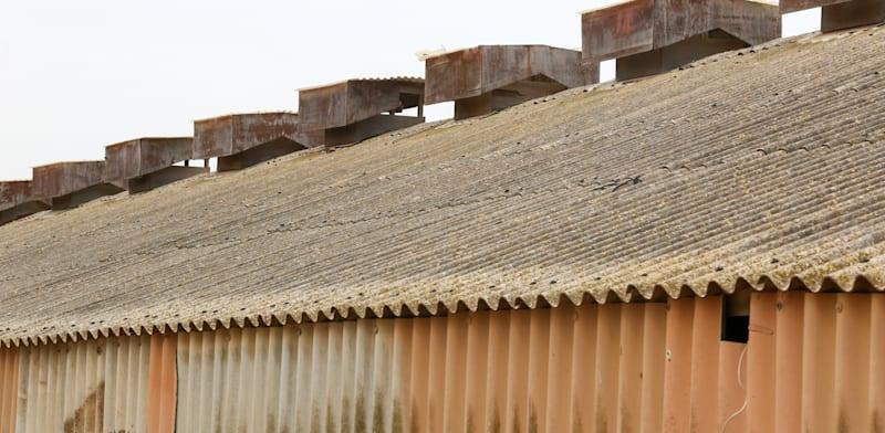 גג אסבסט. החומר הוכר כמזיק וכמסרטן / צילום: שלומי יוסף