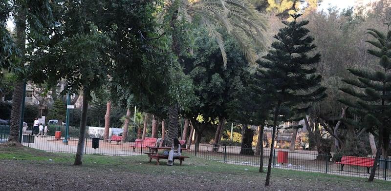 גן מאיר בתל אביב. הוצע כפשרה / צילום: תמר מצפי