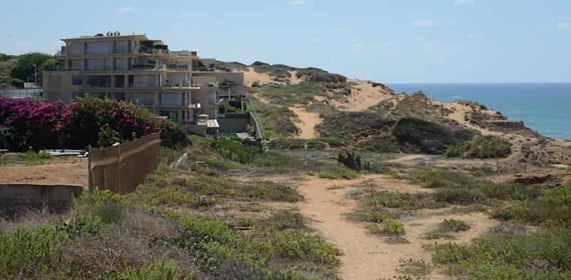 ארסוף. חסידות גור מחזיקה קרקעות באזורים אטרקטיביים במיוחד / צילום: איל יצהר