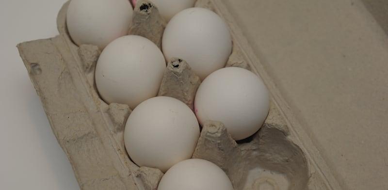 תבנית ביצים / צילום: איל יצהר