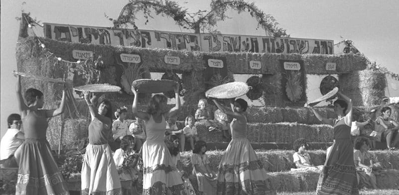 חג שבועות, קיבוץ עין המפרץ בשנת 1979 / צילום: יעקב סער - לע''מ