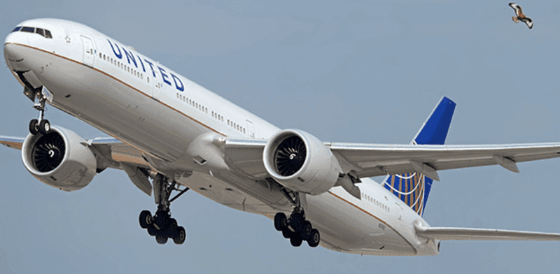 מטוס של יונייטד איירליינס / צילום: Shutterstock, Felix Tchvertkin
