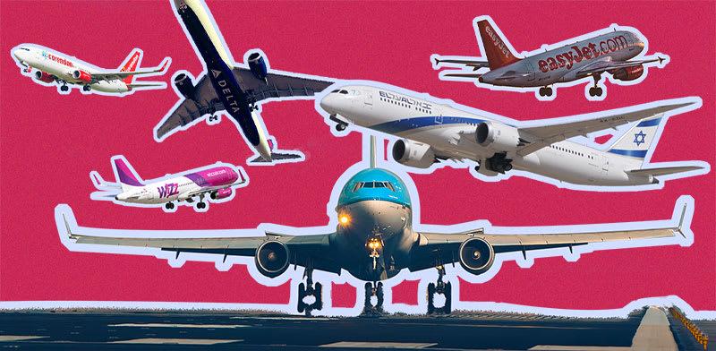  צילום: טרציה: טלי בוגדנובסקי; צילומים: דני שדה, Shutterstock