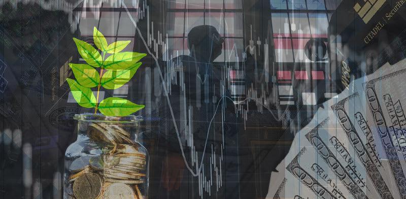  צילום: : טלי בוגדנובסקי, צילומים: AP, Shutterstock