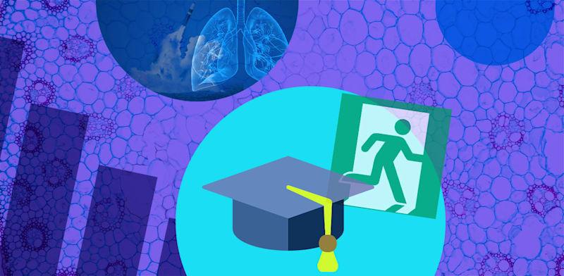  צילום:  הביומד / צילומים: Shutterstock, ויקיפדיה, עיצוב: טלי בוגדנובסקי