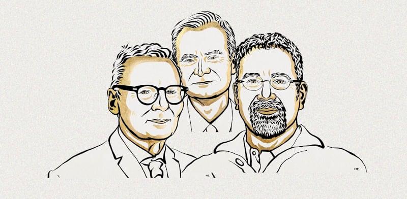 דרון אג'מולו, סיימון ג'ונסון וג'יימס א. רובינסון, זוכי פרס נובל לכלכלה / צילום: Ill. Niklas Elmehed © Nobel Prize Outreach