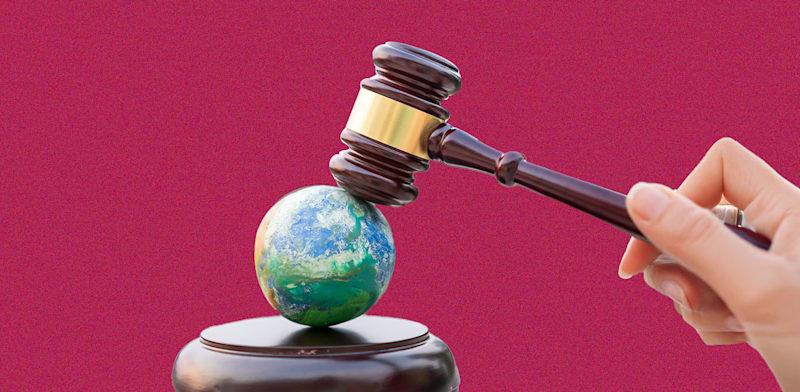  צילום: טרציה: Shutterstock