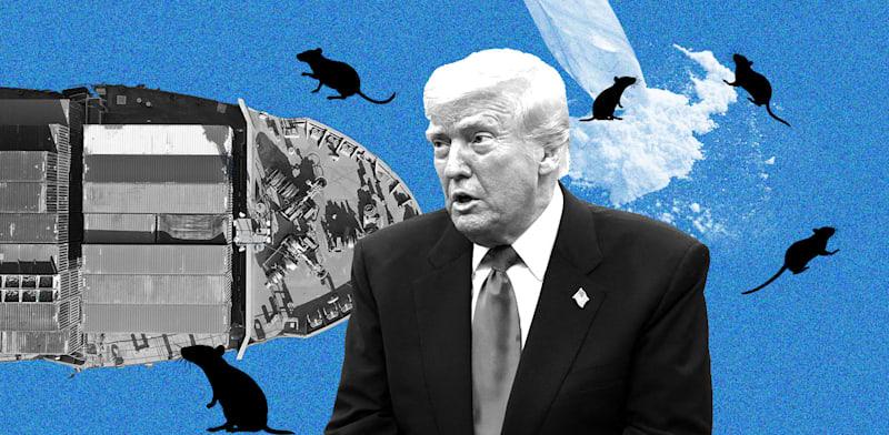  צילום:  בעולם/ צילומים: רויטרס/Shutterstock, Kevin Mohatt, עיצוב: טלי בוגדנובסקי