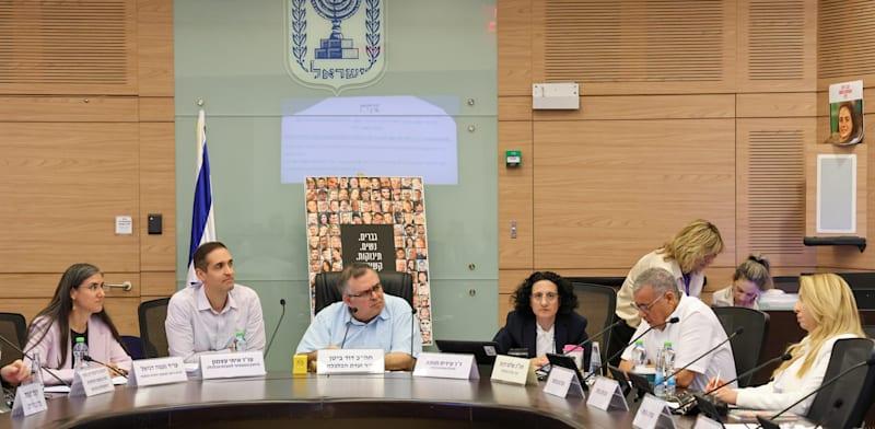 דיון בנושא נתוני הרייטינג בוועדת הכלכלה, היום / צילום: דני שם-טוב, דוברות הכנסת