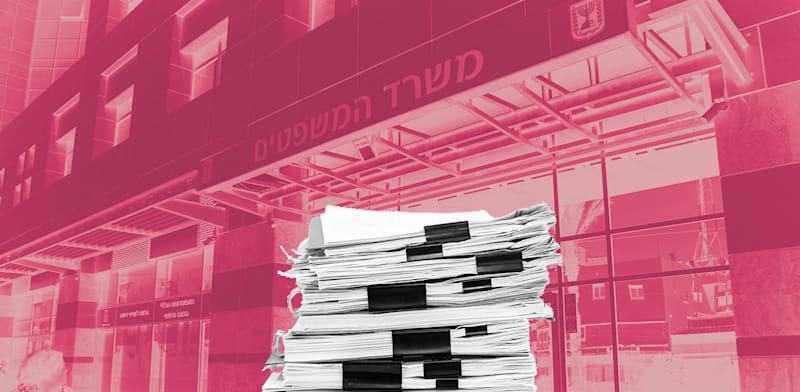 הרפורמה בחברות שיוזם משרד המשפטים / צילום: איל יצהר