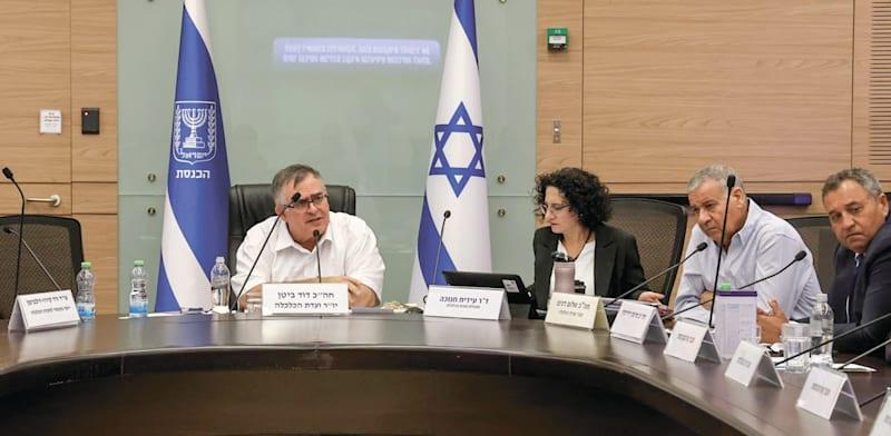 ועדת הכלכלה בדיון על יוקר המחיה / צילום: דוברות הכנסת, דני שם טוב