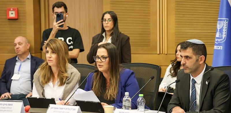 שר התקשורת שלמה קרעי וח''כ גלית דיסטל אטרביאן הדיונים בהוועדה לדיון בהצעת חוק התקשורת היום / צילום: דני שם טוב, דוברות הכנסת