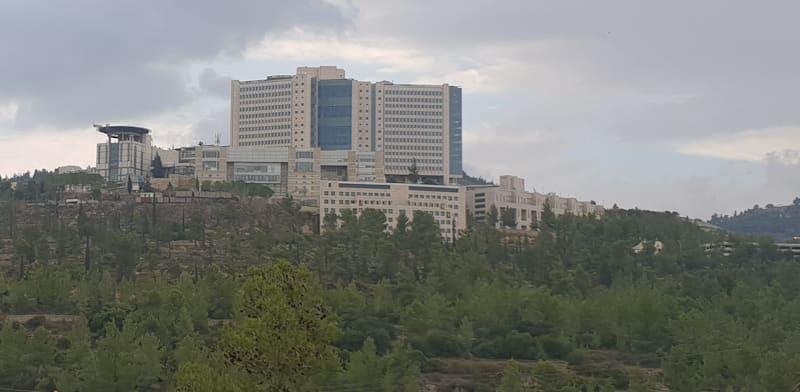 בית החולים הדסה / צילום: אביבה גנצר