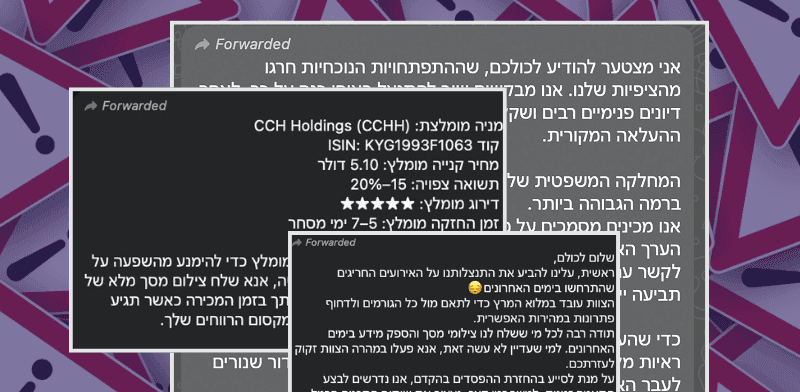 הודעה שנשלחה בקבוצת וואטסאפ של מתחזים / צילום: צילום מסך