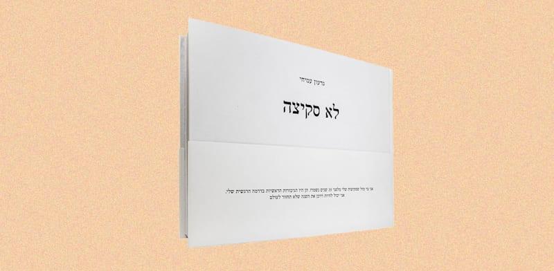  צילום:  הספר ''לא סקיצה'' של גדעון עמיחי 