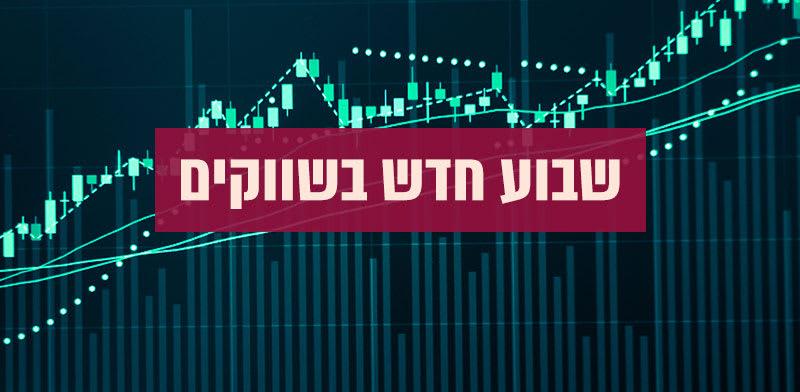  צילום: