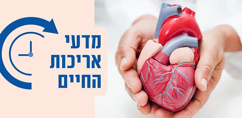  צילום: : Shutterstock