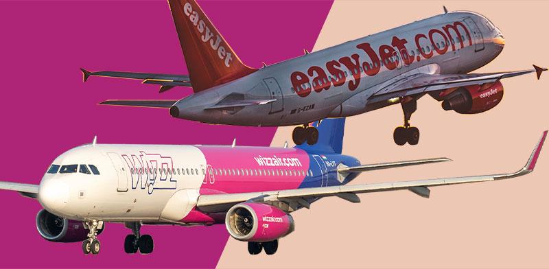  צילום: טצריה: טלי בוגדנובסקי, צילומים: Shutterstock