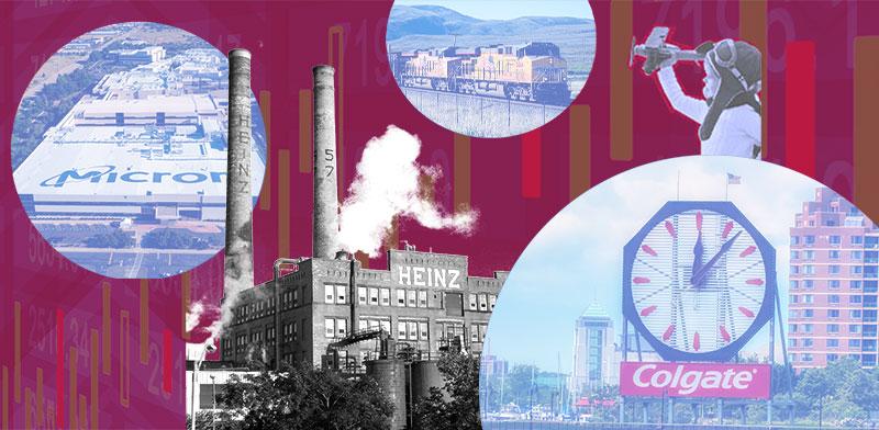  צילום: ים: Shutterstock, עיצוב: טלי בוגדנובסקי