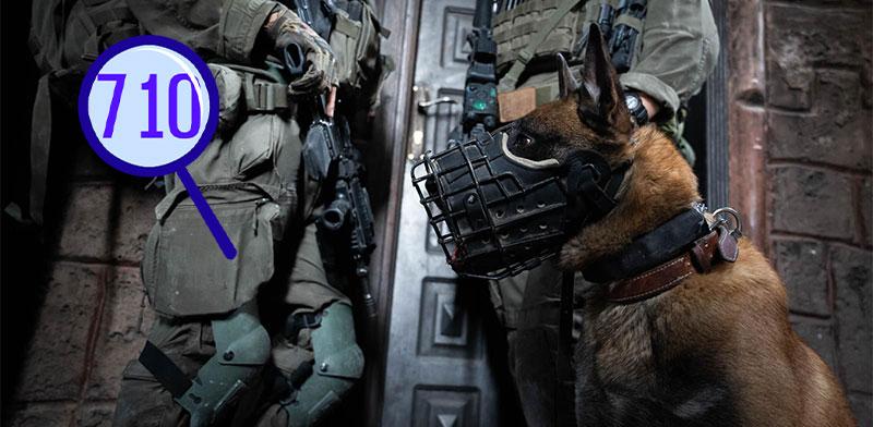 איזה תפקיד מילאו בעלי החיים בתהליך הריפוי שלנו כחברה / צילום: דובר צה''ל