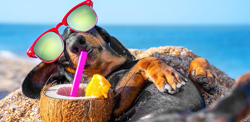  צילום: Shutterstock