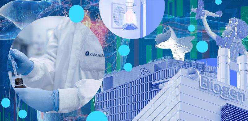  צילום: ליות שהפתיעו וההזדמנויות שמחכות / אילוסטרציה: טלי בוגדנובסקי (צילומים: Shutterstock, V-Wave, בריינסוויי, קמהדע)