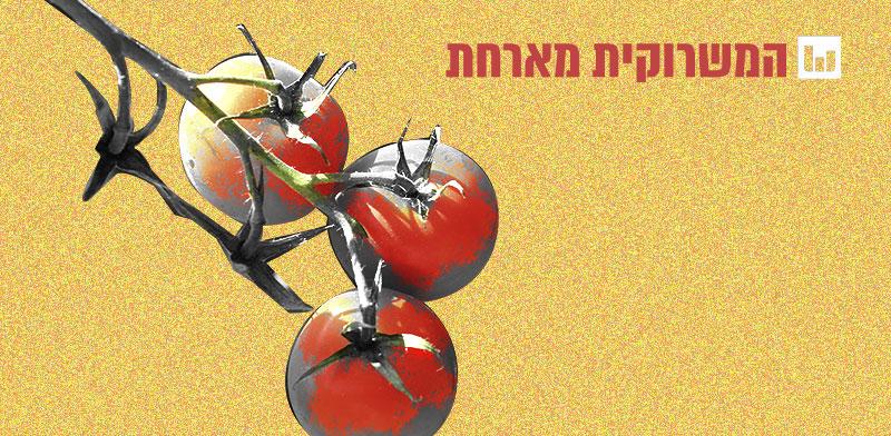עגבניות שרי / צילום: Shutterstock