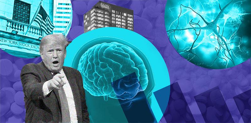  צילום:  הביומד / צילומים: Shutterstock, AP, איל תגר, עיבוד: טלי בוגדנובסקי