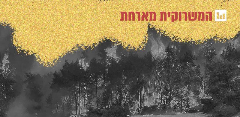 השריפות באזור הרי ירושלים / צילום: עובדי ויערני קק״ל