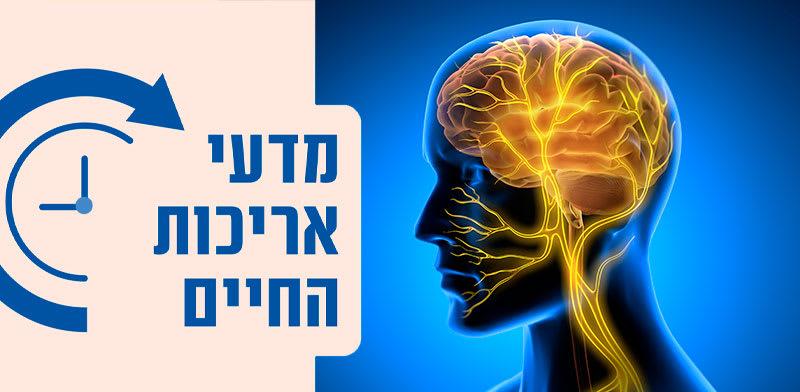  צילום: וואגוס / אילוסטרציה: Shutterstock