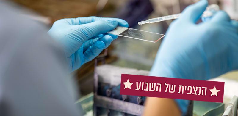 צילום: Shutterstock צילום: Shutterstock