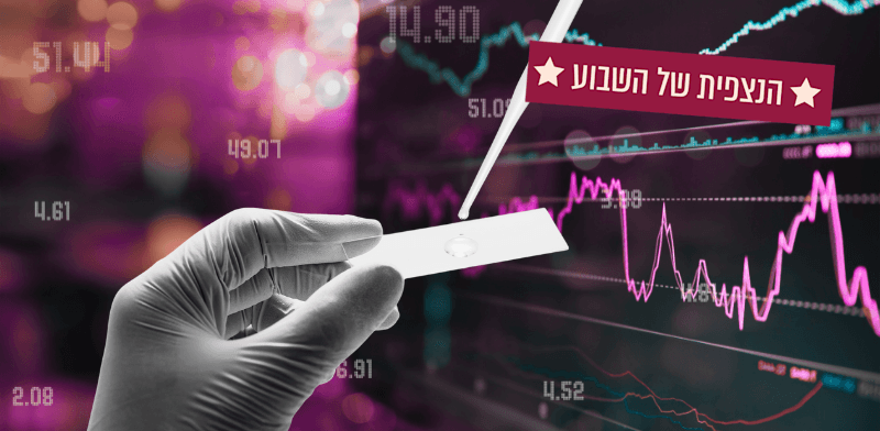 שוק ההון והשקעות / צילום: Shutterstock שוק ההון והשקעות / צילום: Shutterstock