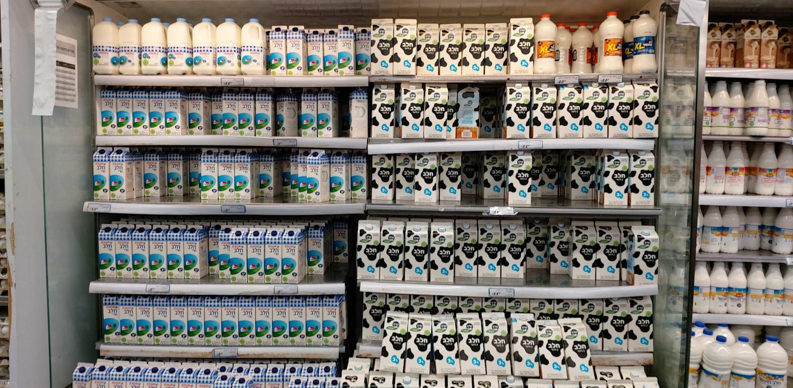 מדפי חלב בסופרמרקט / צילום: גלובס מדפי חלב בסופרמרקט / צילום: גלובס