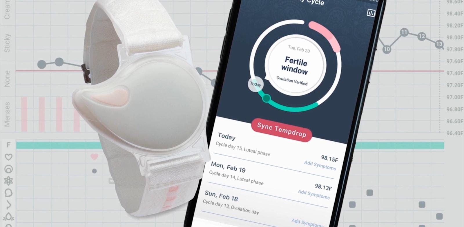 אפליקציית טמפרופ / צילום: צילום מסך אפליקציית טמפרופ / צילום: צילום מסך