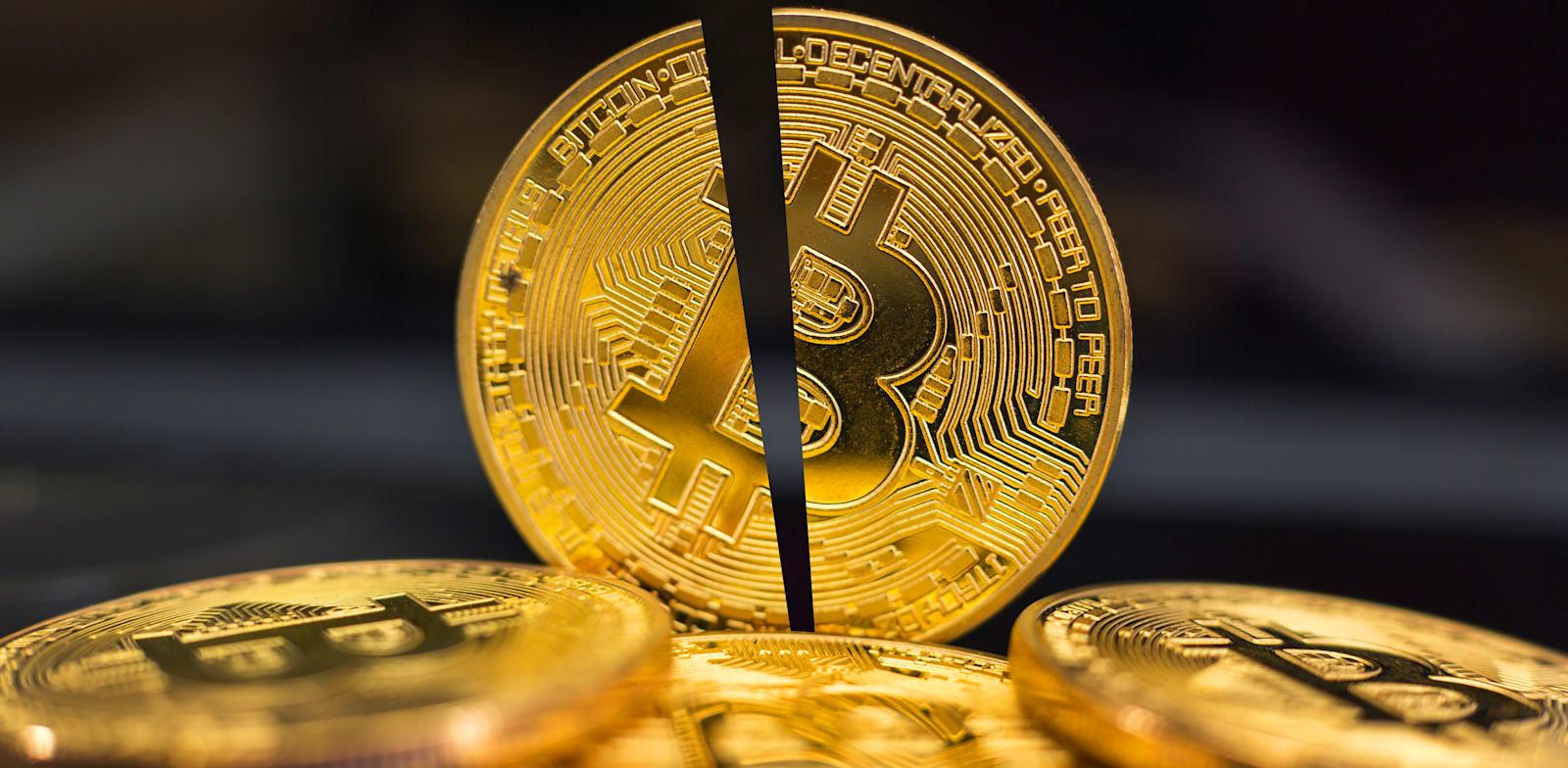 אירוע חציית הביטקוין / צילום: Shutterstock אירוע חציית הביטקוין / צילום: Shutterstock