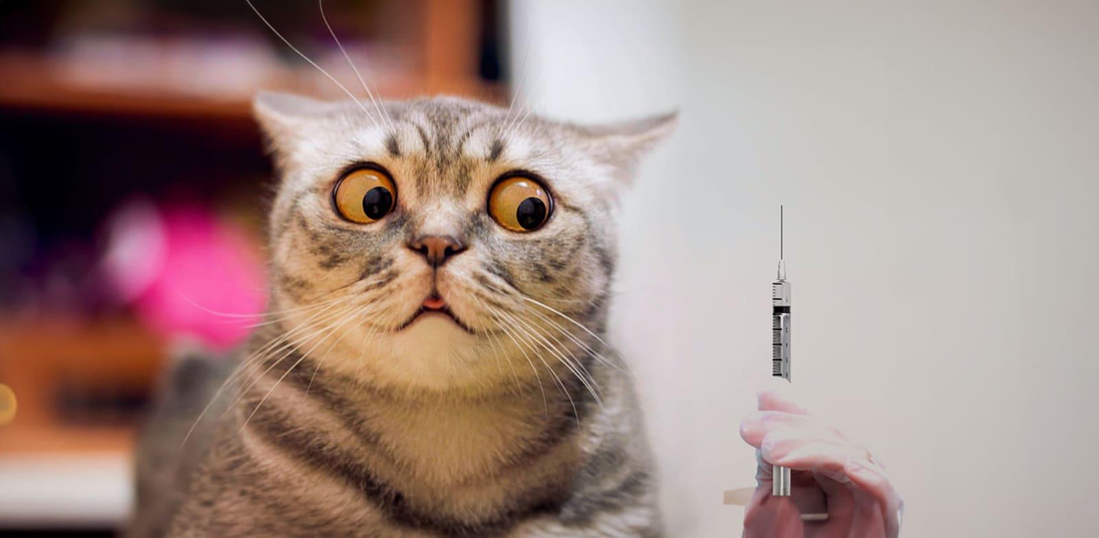 מאחורי הציפייה לאירועים שליליים / צילום: Shutterstock מאחורי הציפייה לאירועים שליליים / צילום: Shutterstock