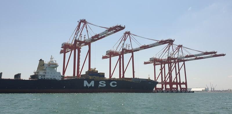 ספינה של MSC בנמל חיפה / צילום: גיא ליברמן ספינה של MSC בנמל חיפה / צילום: גיא ליברמן