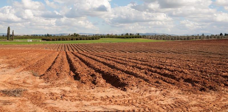 צילום: ת / אילוסטרציה: Shutterstock צילום: ת / אילוסטרציה: Shutterstock