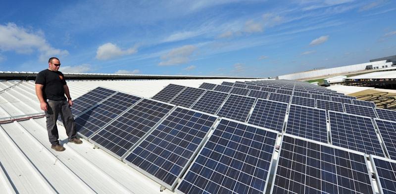 צילום: לארי / אילוסטרציה: Shutterstock צילום: לארי / אילוסטרציה: Shutterstock