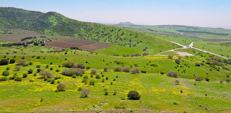 רמת הגולן / צילום: Shutterstock, hermitis רמת הגולן / צילום: Shutterstock, hermitis