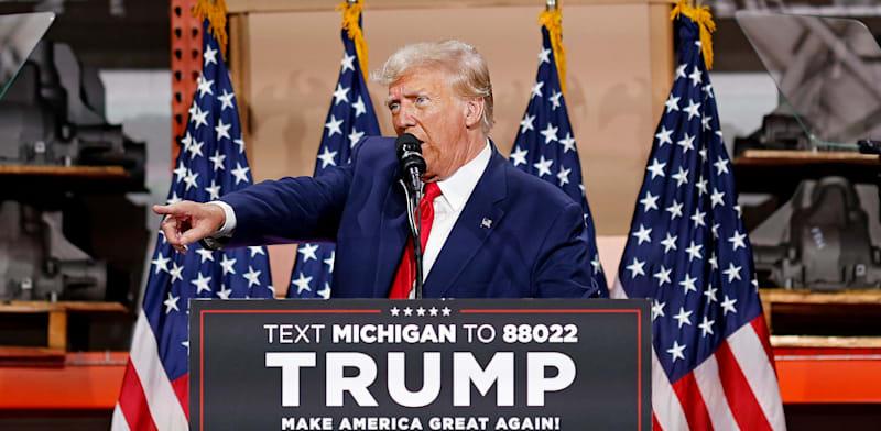 דונלד טראמפ / צילום: ap, Mike Mulholland דונלד טראמפ / צילום: ap, Mike Mulholland