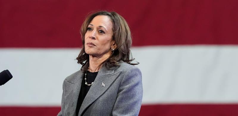 המועמדת לנשיאות ארה"ב, קמלה האריס / צילום: ap, Brynn Anderson המועמדת לנשיאות ארה"ב, קמלה האריס / צילום: ap, Brynn Anderson