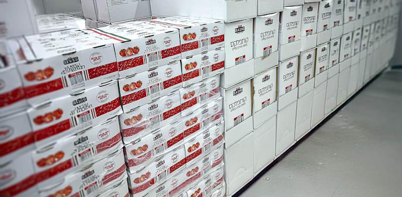 המוצרים החדשים של מחסני השוק מסדרת Basic / צילום: שיווק המוצרים החדשים של מחסני השוק מסדרת Basic / צילום: שיווק