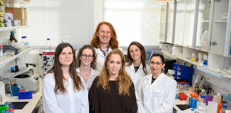 צוות החוקרים, מימין לשמאל: ד''ר מרב שמואלי, ד''ר פאולה אנטונלו, ד''ר ארסניי לובוב, עינב לזר, קארין גולדברג ופרופ' יפעת מרבל / צילום: באדיבות מכון ויצמן צוות החוקרים, מימין לשמאל: ד''ר מרב שמואלי, ד''ר פאולה אנטונלו, ד''ר ארסניי לובוב, עינב לזר, קארין גולדברג ופרופ' יפעת מרבל / צילום: באדיבות מכון ויצמן