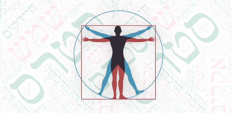 חזית המדע. מיפוי האקספוזום / צילום: Shutterstock חזית המדע. מיפוי האקספוזום / צילום: Shutterstock